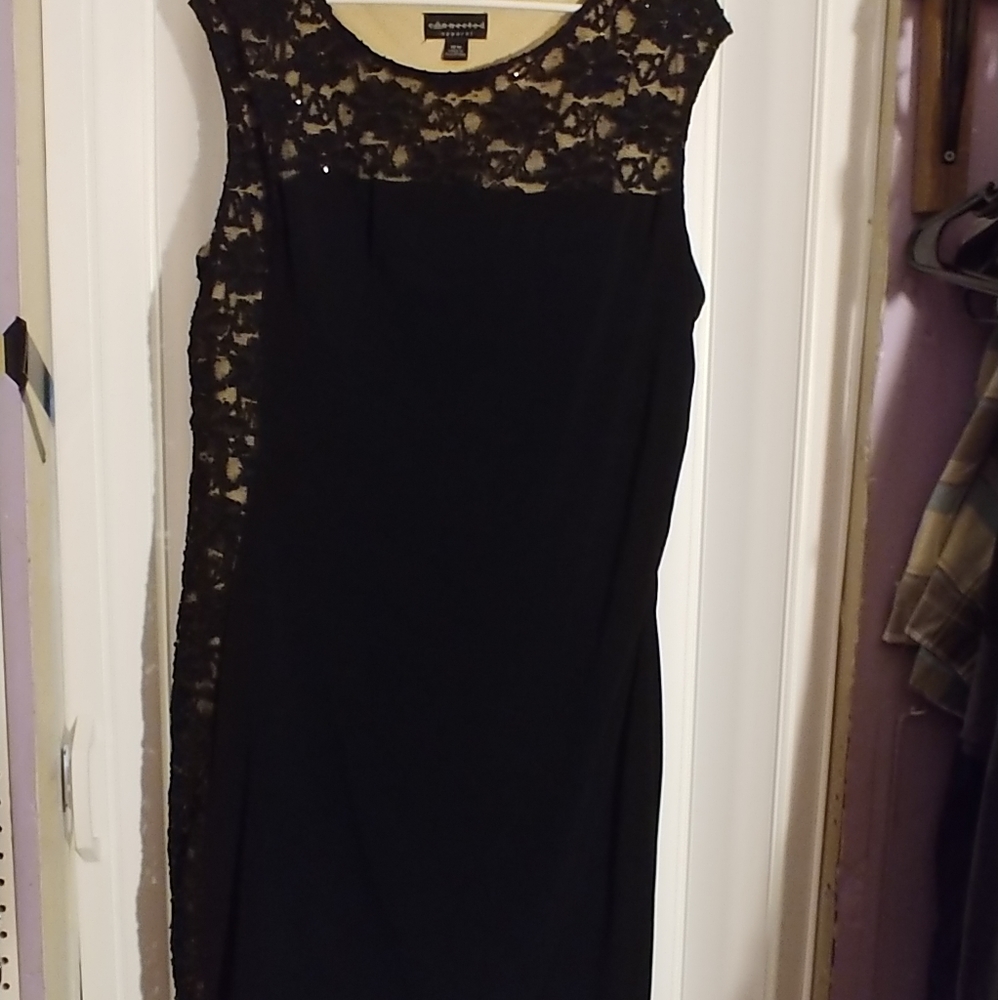 Black and nude lace dress